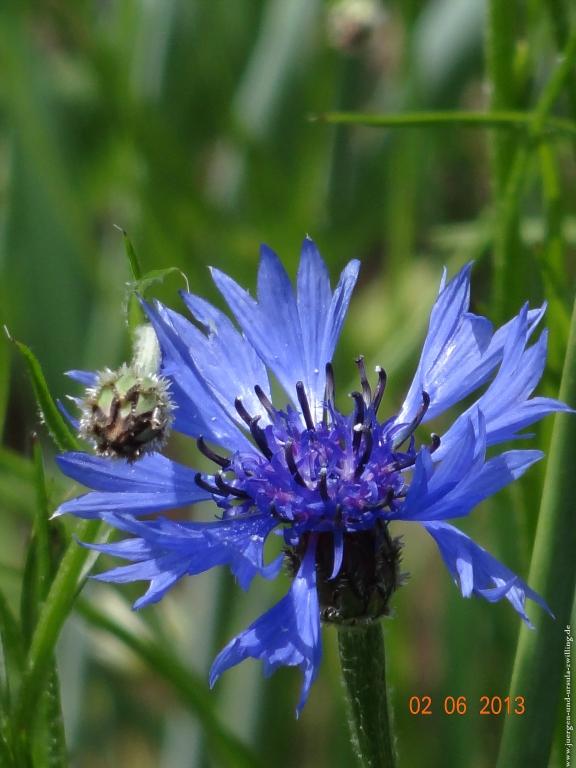 Philosophische Bildwanderung Höhenweg Grund - Spessart