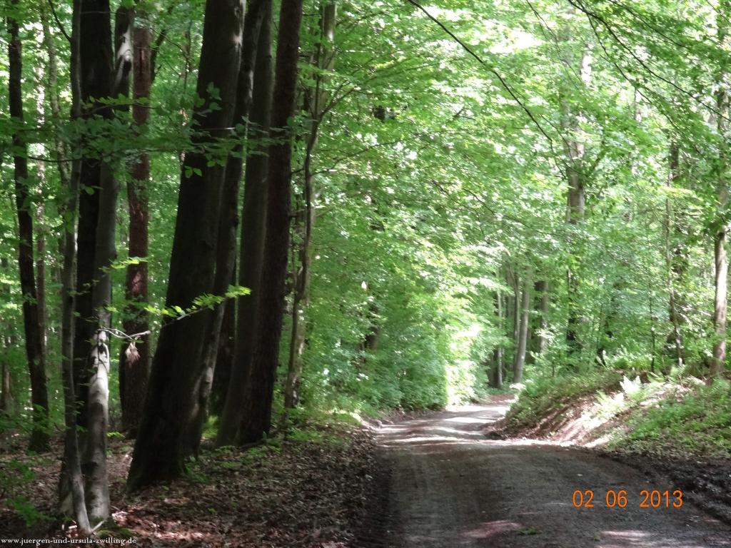 Philosophische Bildwanderung Höhenweg Grund - Spessart