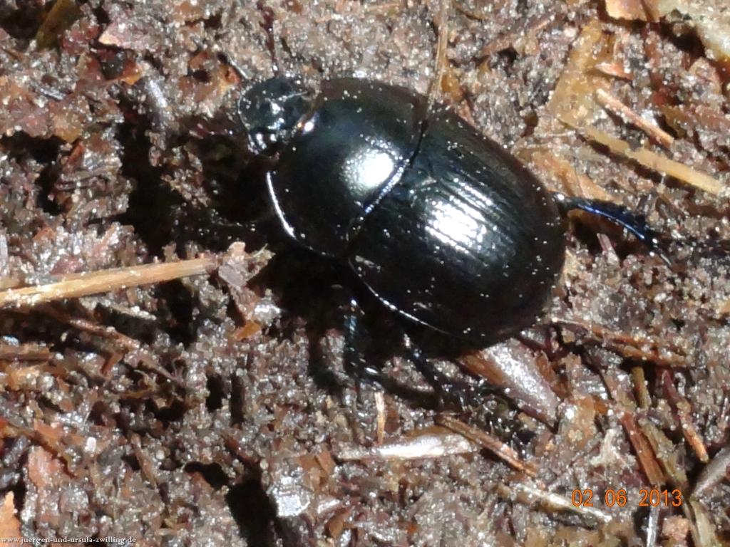 Philosophische Bildwanderung Höhenweg Grund - Spessart