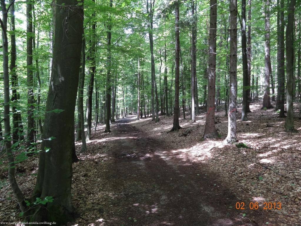 Philosophische Bildwanderung Höhenweg Grund - Spessart