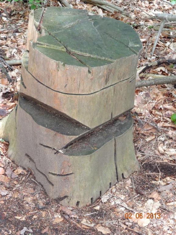 Philosophische Bildwanderung Höhenweg Grund - Spessart