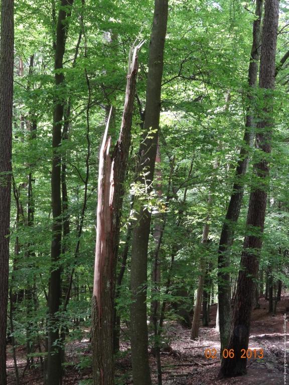 Philosophische Bildwanderung Höhenweg Grund - Spessart