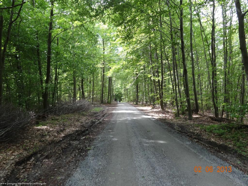 Philosophische Bildwanderung Höhenweg Grund - Spessart