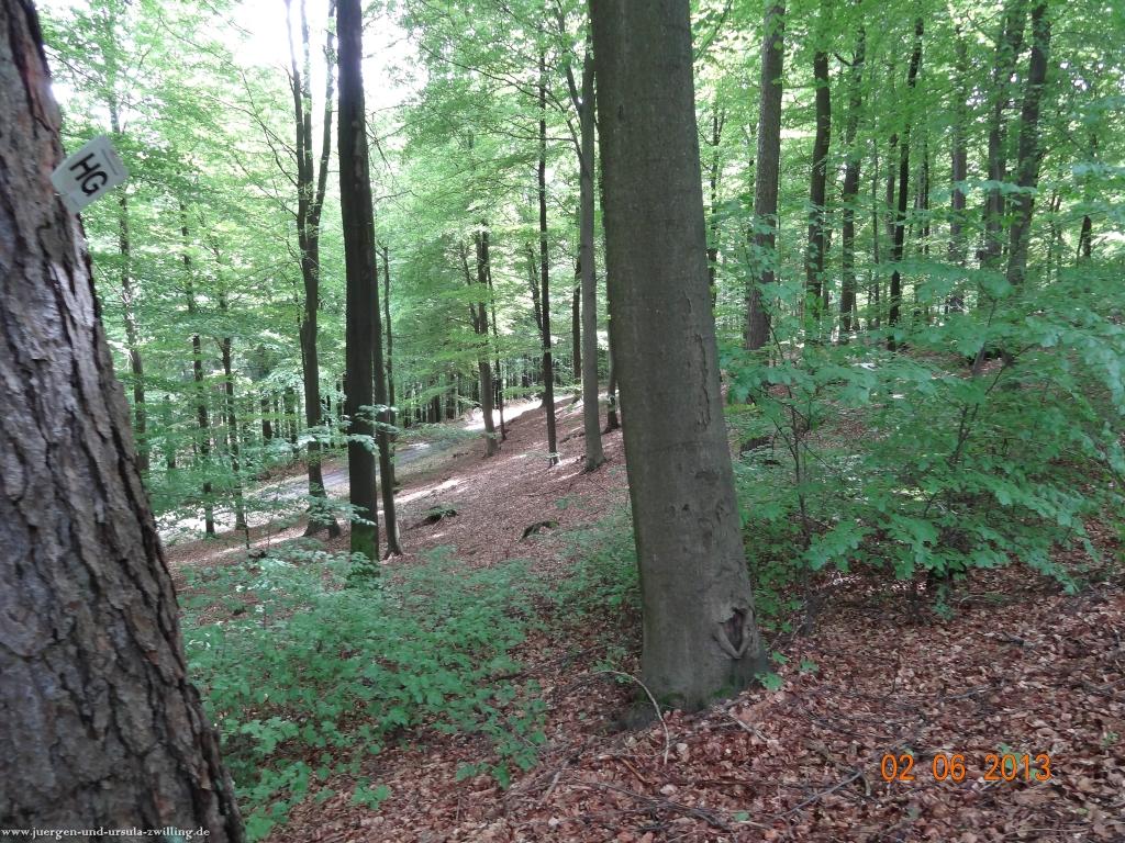 Philosophische Bildwanderung Höhenweg Grund - Spessart