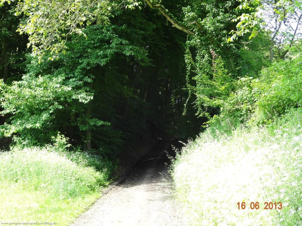 Philosophische Bildwanderung Fraenkisch-Crumbach-Burg-Rodenstein-Runde-Wanderung-auf-Ritterspfaden-