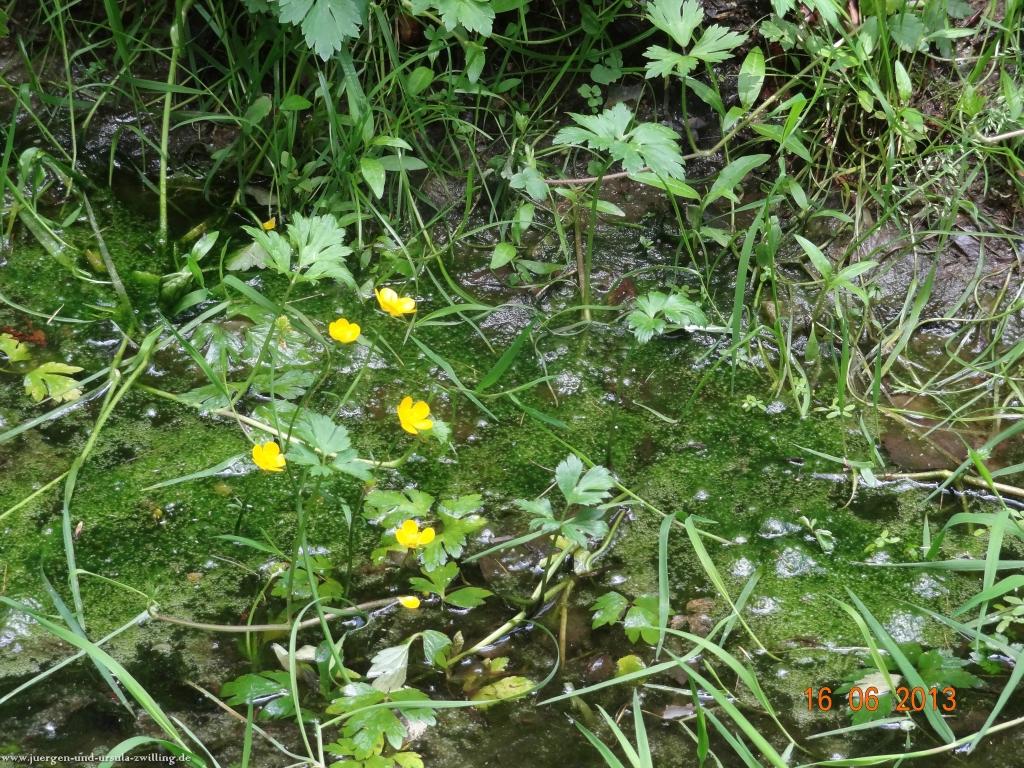 Philosophische Bildwanderung Fraenkisch-Crumbach-Burg-Rodenstein-Runde-Wanderung-auf-Ritterspfaden-