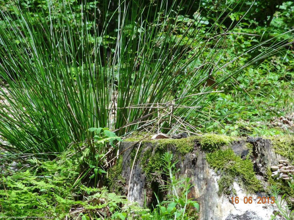 Philosophische Bildwanderung Fraenkisch-Crumbach-Burg-Rodenstein-Runde-Wanderung-auf-Ritterspfaden-