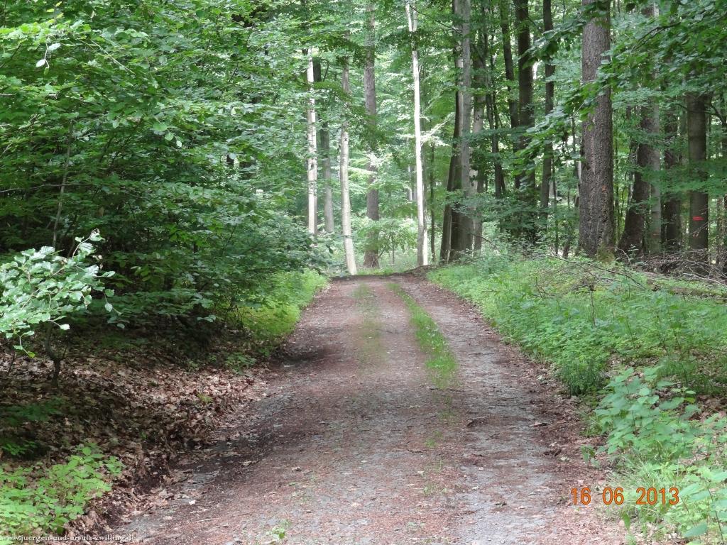 Philosophische Bildwanderung Fraenkisch-Crumbach-Burg-Rodenstein-Runde-Wanderung-auf-Ritterspfaden-