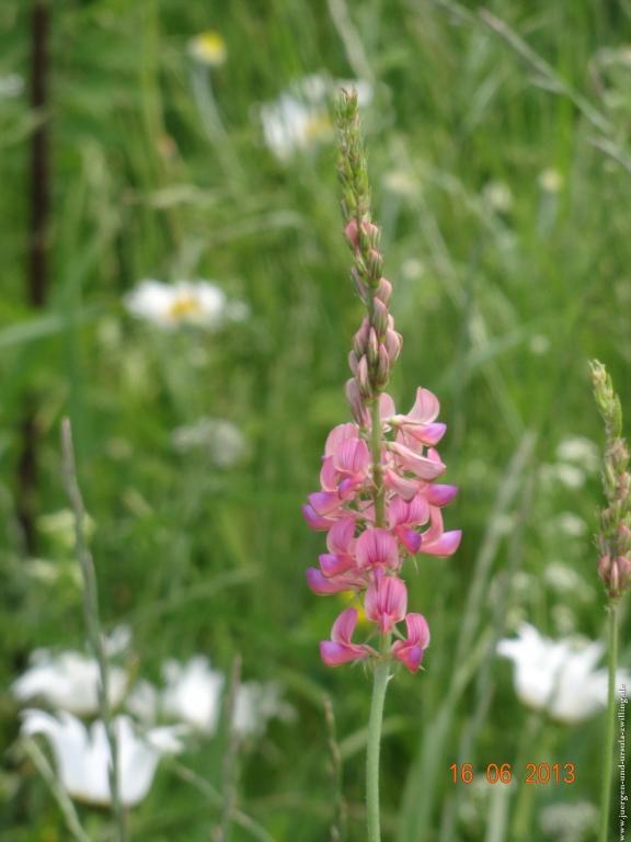 Philosophische Bildwanderung Fraenkisch-Crumbach-Burg-Rodenstein-Runde-Wanderung-auf-Ritterspfaden-