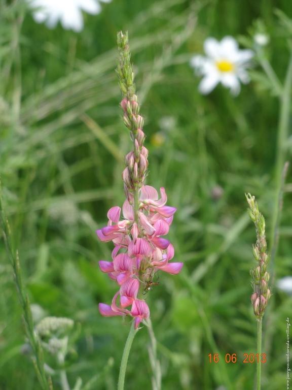 Philosophische Bildwanderung Fraenkisch-Crumbach-Burg-Rodenstein-Runde-Wanderung-auf-Ritterspfaden-