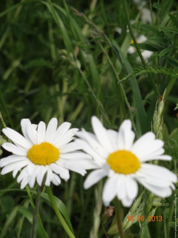 Philosophische Bildwanderung Fraenkisch-Crumbach-Burg-Rodenstein-Runde-Wanderung-auf-Ritterspfaden-