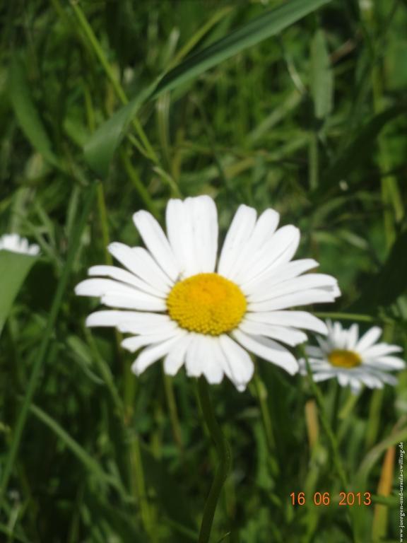 Philosophische Bildwanderung Fraenkisch-Crumbach-Burg-Rodenstein-Runde-Wanderung-auf-Ritterspfaden-