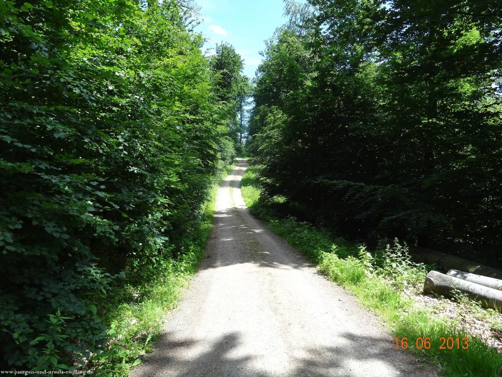 Philosophische Bildwanderung Fraenkisch-Crumbach-Burg-Rodenstein-Runde-Wanderung-auf-Ritterspfaden-