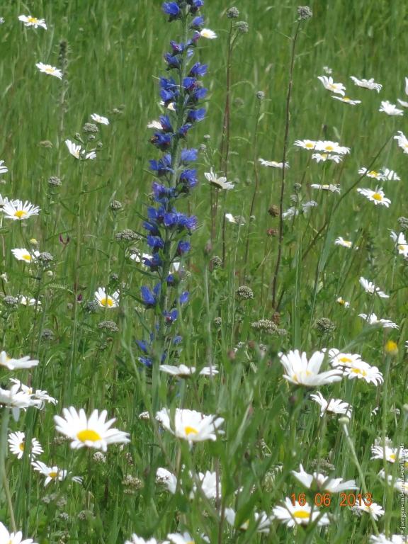 Philosophische Bildwanderung Fraenkisch-Crumbach-Burg-Rodenstein-Runde-Wanderung-auf-Ritterspfaden-
