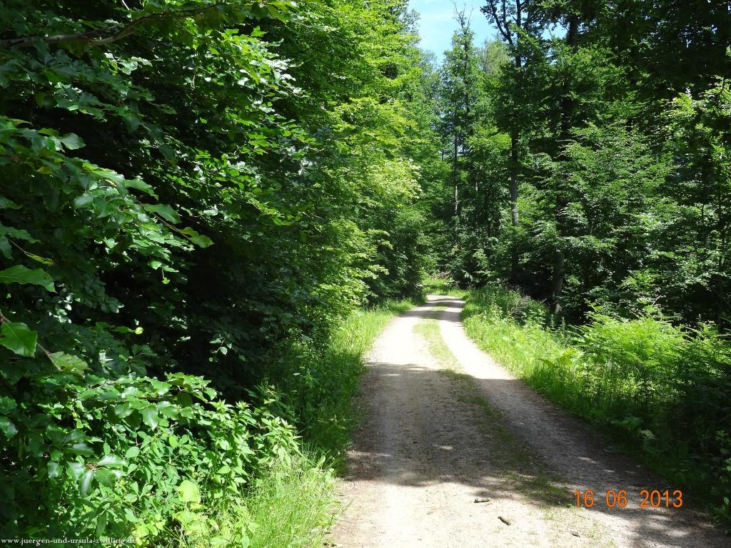 Philosophische Bildwanderung Fraenkisch-Crumbach-Burg-Rodenstein-Runde-Wanderung-auf-Ritterspfaden-
