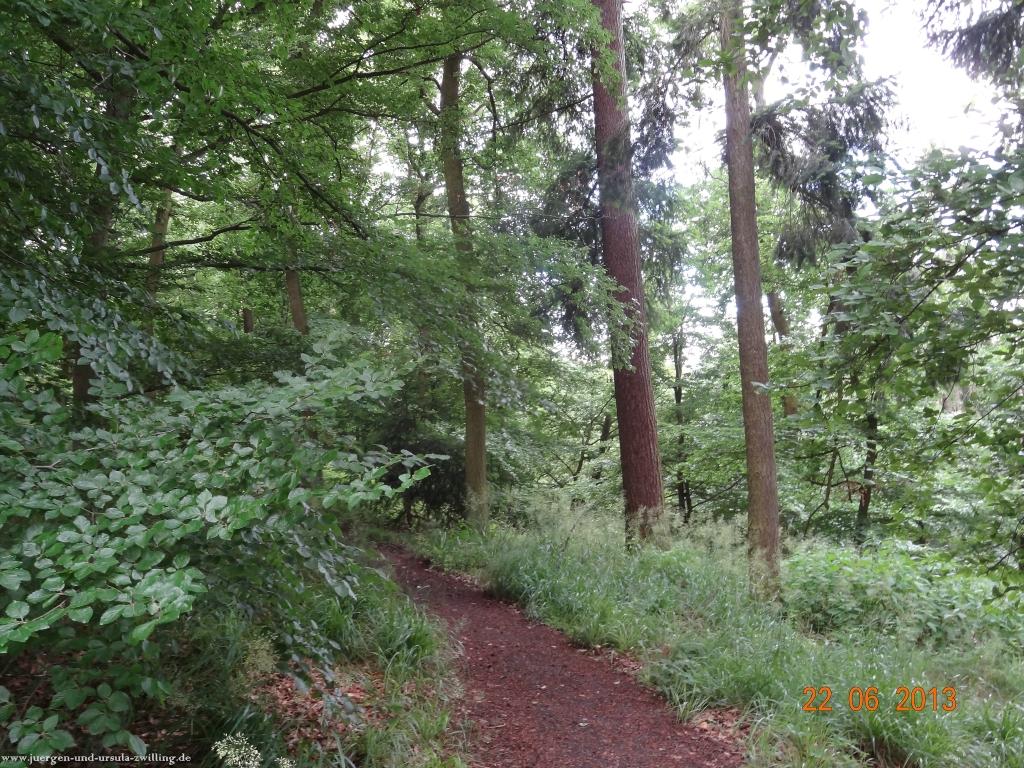 Philosophische Bildwanderung Traumschleife Baybachklamm