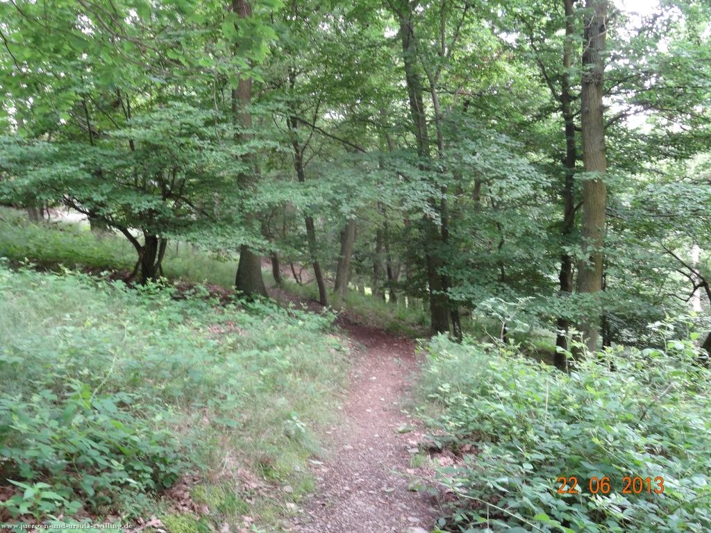 Philosophische Bildwanderung Traumschleife Baybachklamm