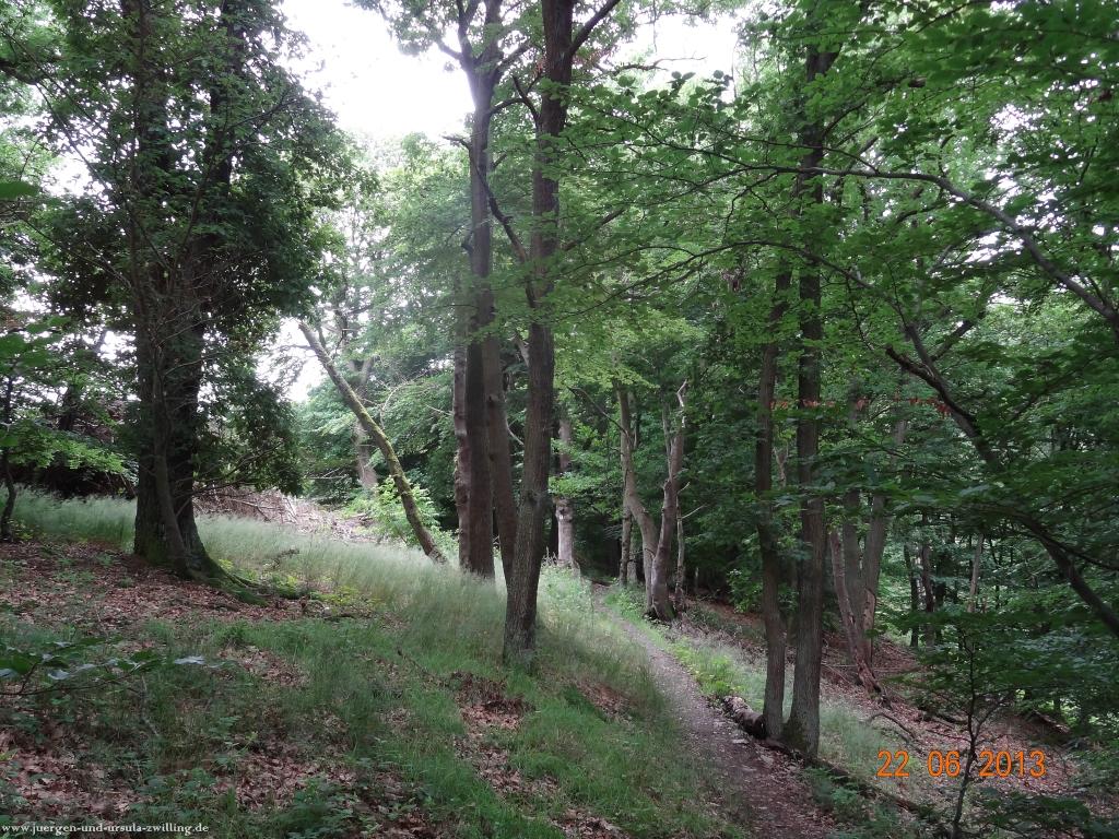 Philosophische Bildwanderung Traumschleife Baybachklamm