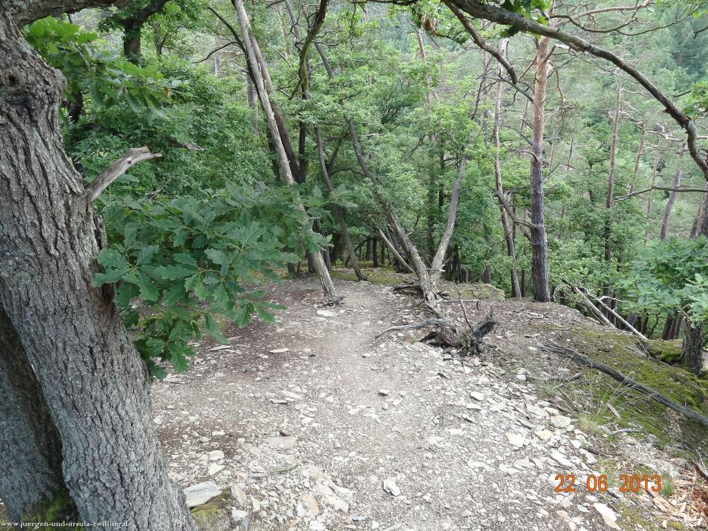 Philosophische Bildwanderung Traumschleife Baybachklamm