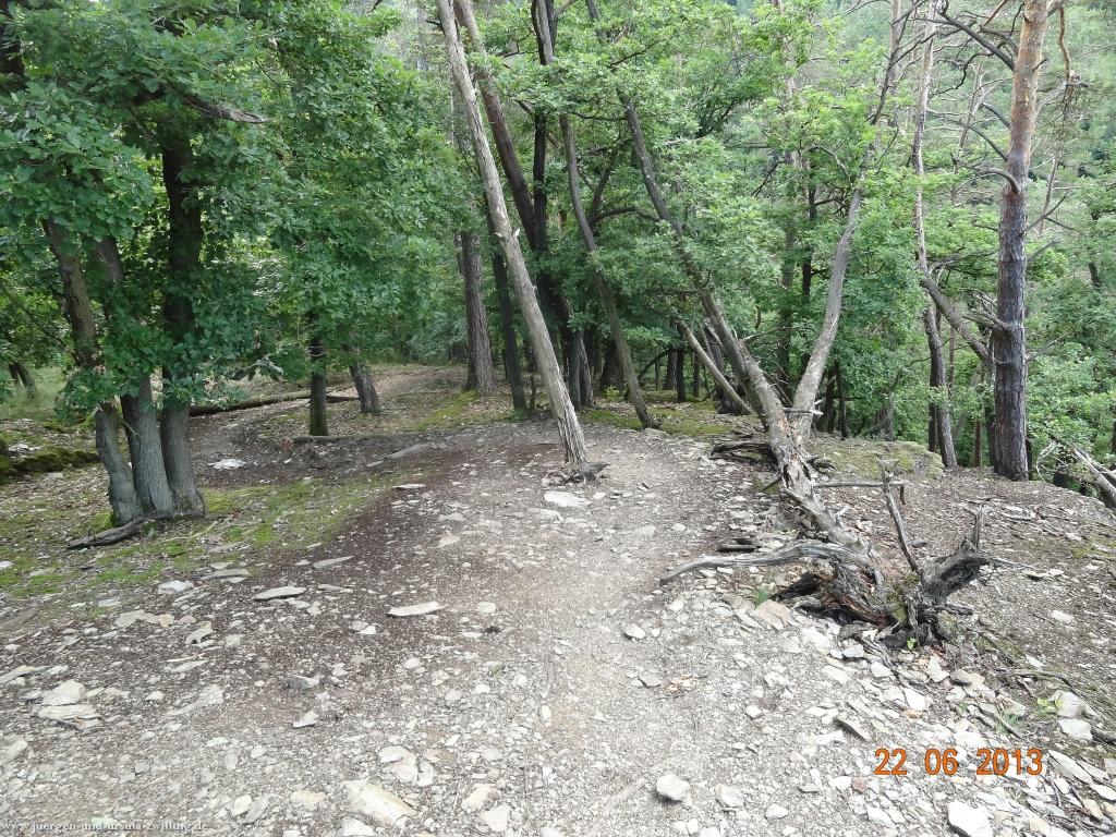 Philosophische Bildwanderung Traumschleife Baybachklamm