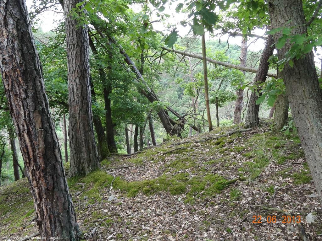 Philosophische Bildwanderung Traumschleife Baybachklamm