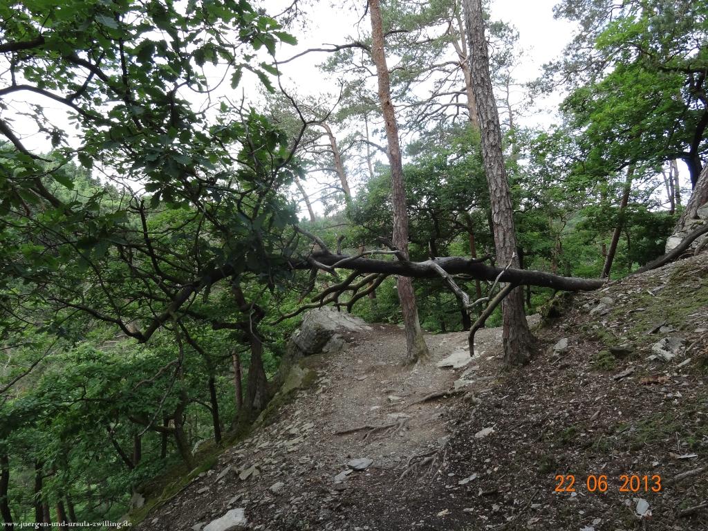 Philosophische Bildwanderung Traumschleife Baybachklamm