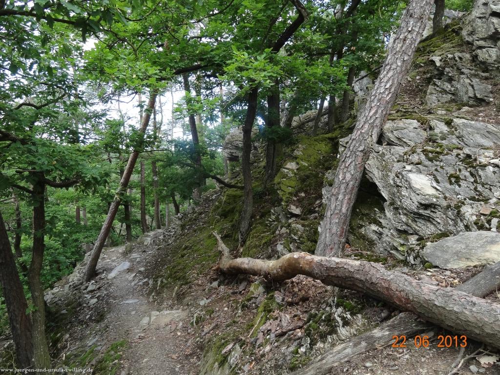 Philosophische Bildwanderung Traumschleife Baybachklamm