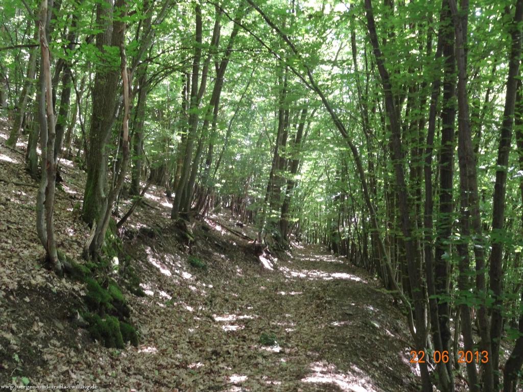 Philosophische Bildwanderung Traumschleife Baybachklamm