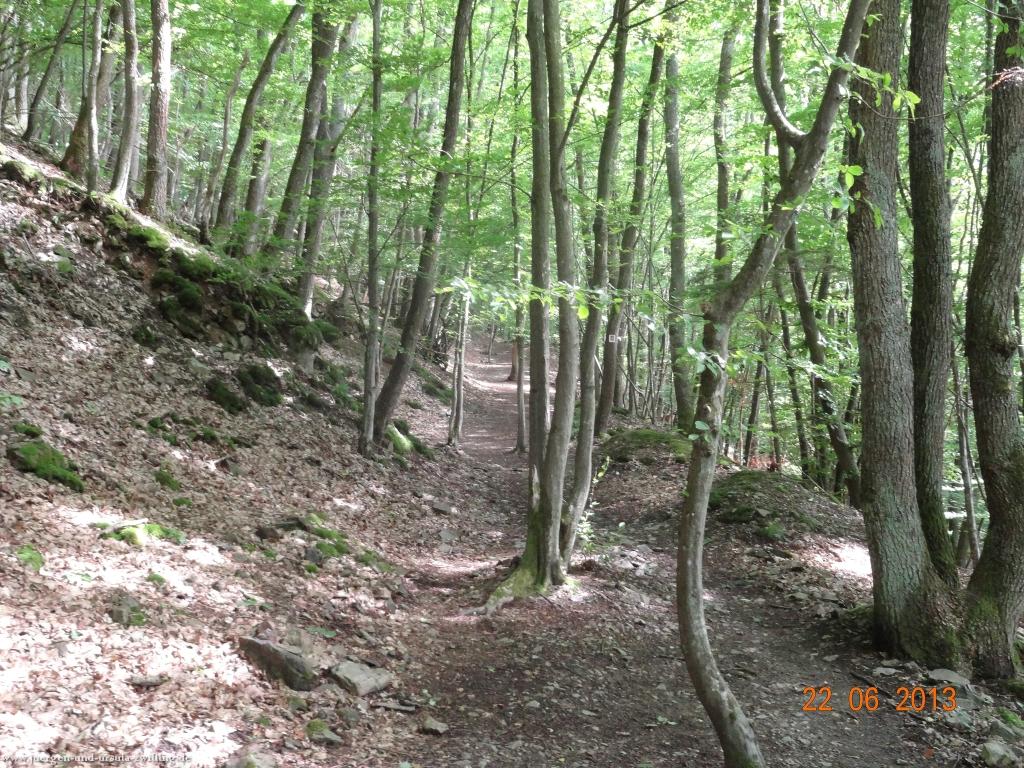 Philosophische Bildwanderung Traumschleife Baybachklamm