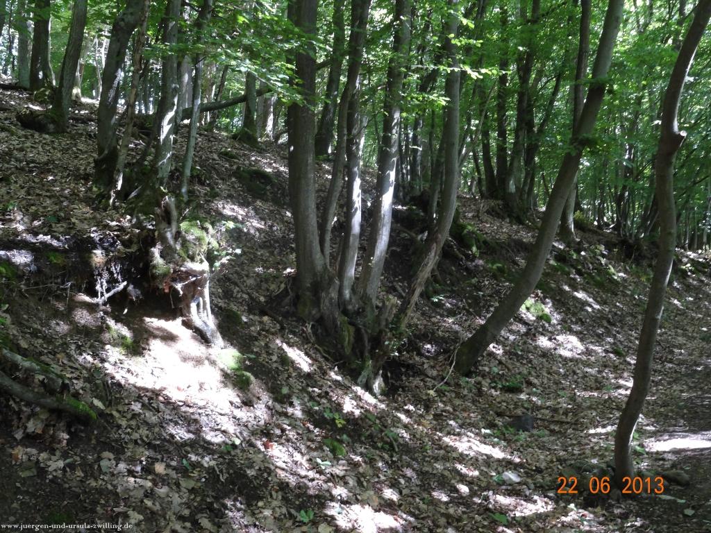 Philosophische Bildwanderung Traumschleife Baybachklamm