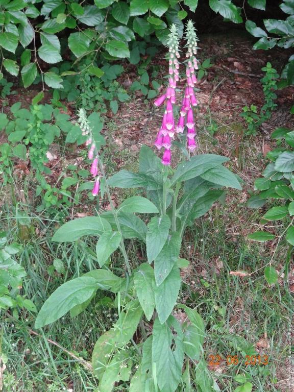 Philosophische Bildwanderung Traumschleife Baybachklamm