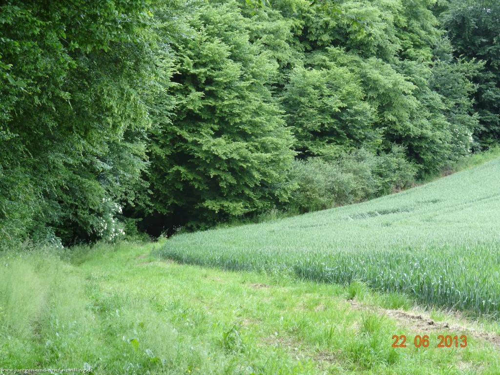 Philosophische Bildwanderung Traumschleife Baybachklamm