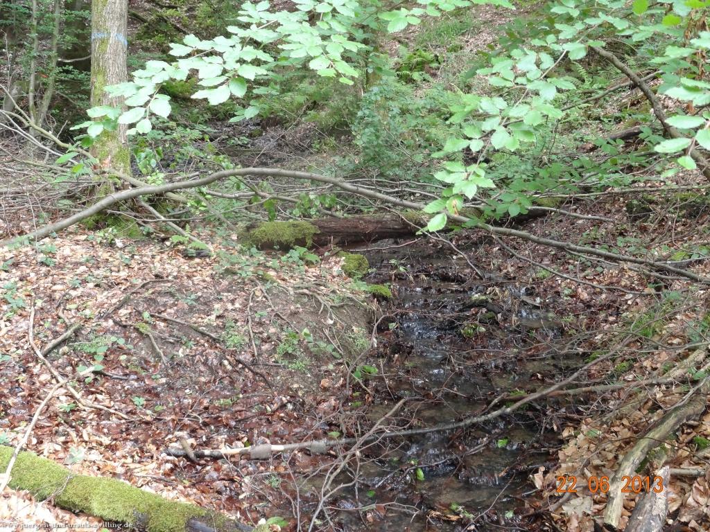 Philosophische Bildwanderung Traumschleife Baybachklamm