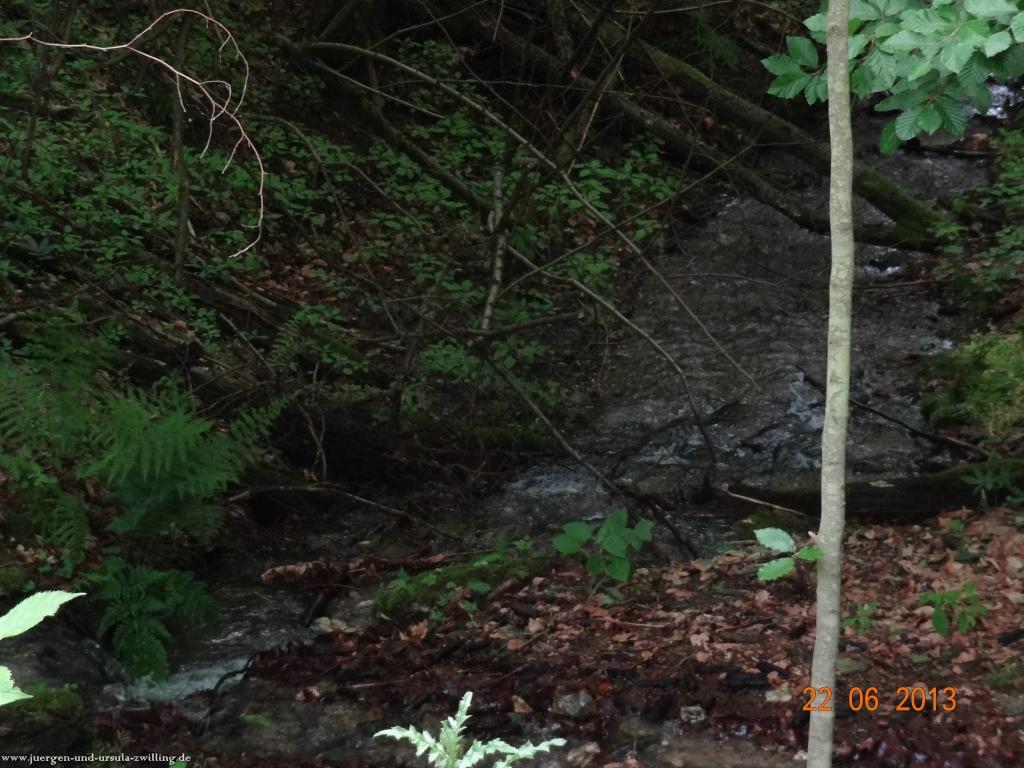 Philosophische Bildwanderung Traumschleife Baybachklamm