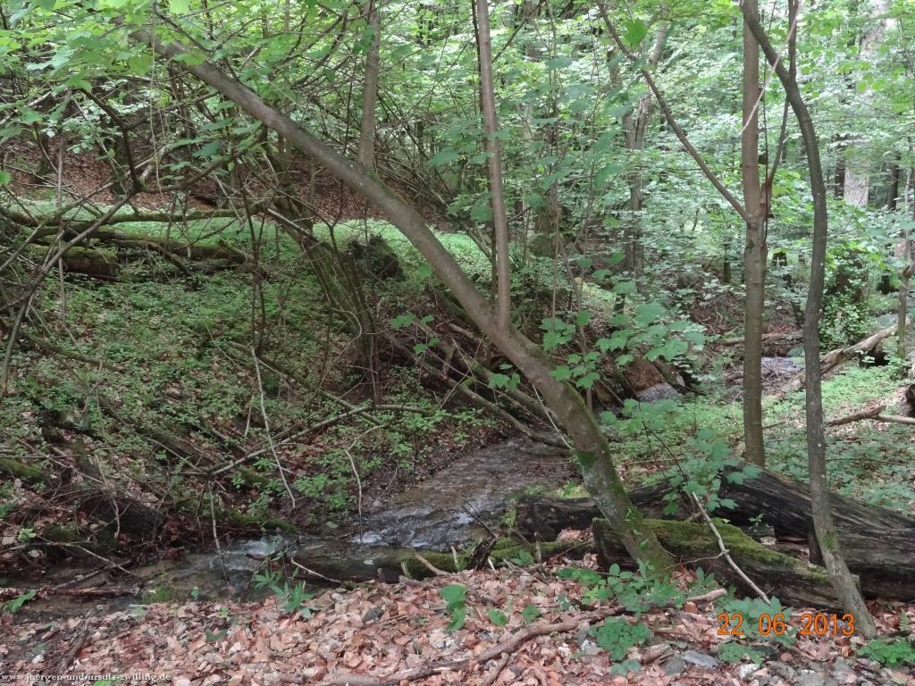 Philosophische Bildwanderung Traumschleife Baybachklamm