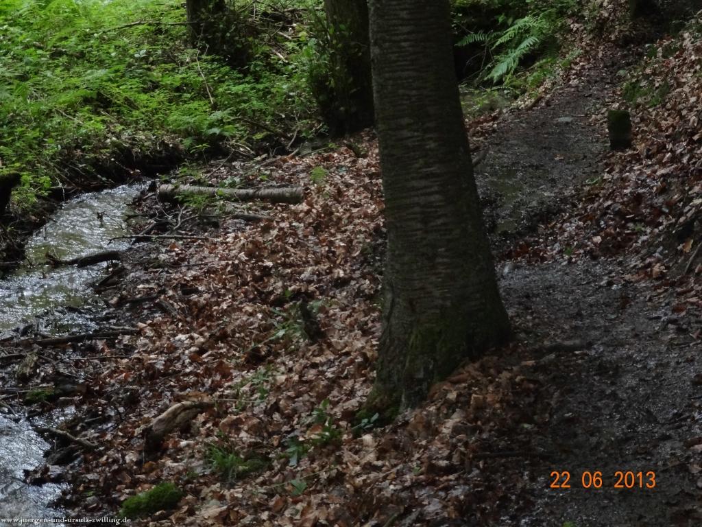 Philosophische Bildwanderung Traumschleife Baybachklamm