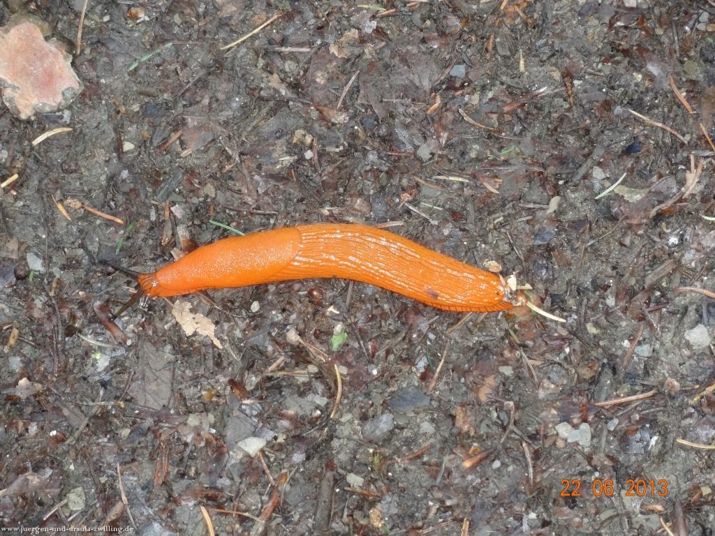 Philosophische Bildwanderung Traumschleife Baybachklamm