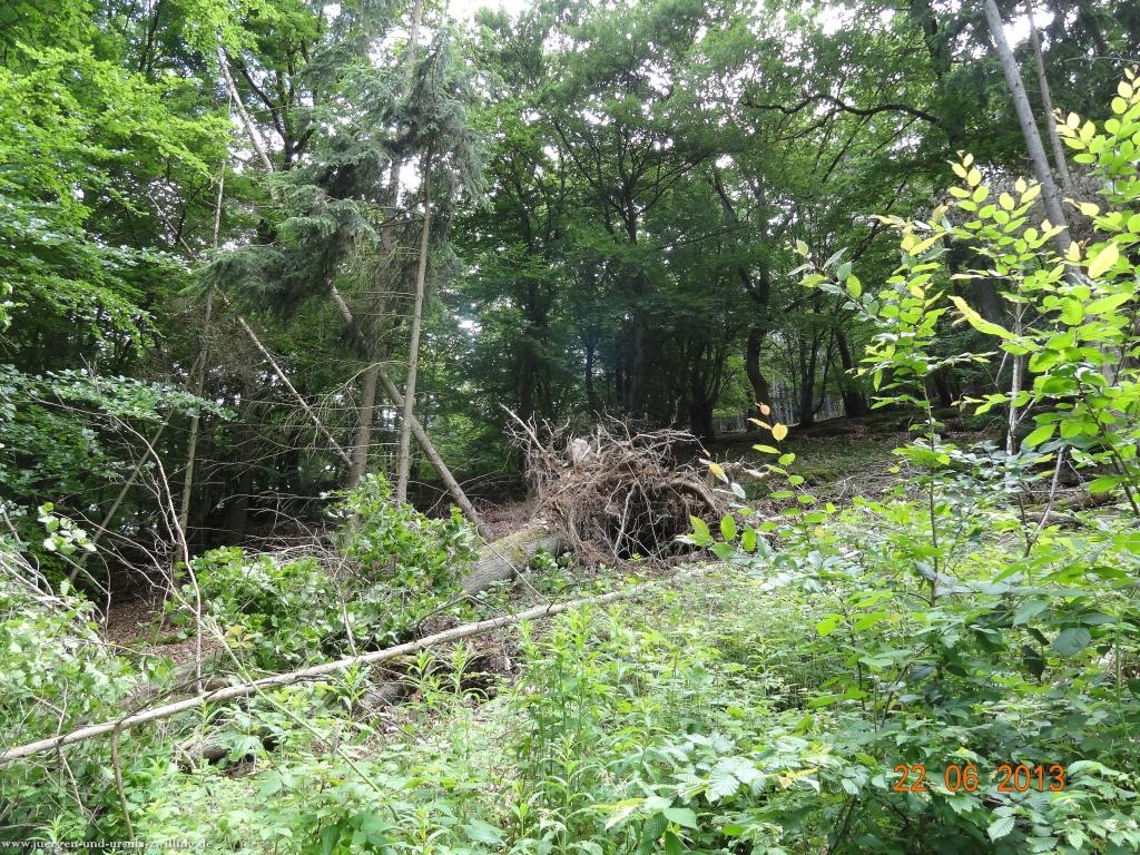 Philosophische Bildwanderung Traumschleife Baybachklamm