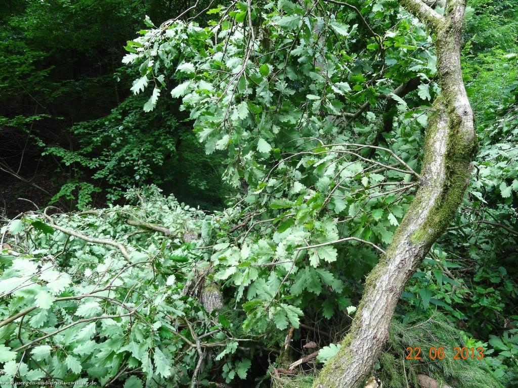 Philosophische Bildwanderung Traumschleife Baybachklamm