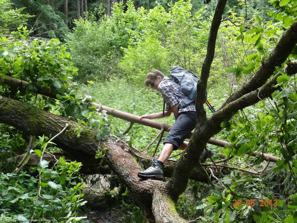 Philosophische Bildwanderung Traumschleife Baybachklamm
