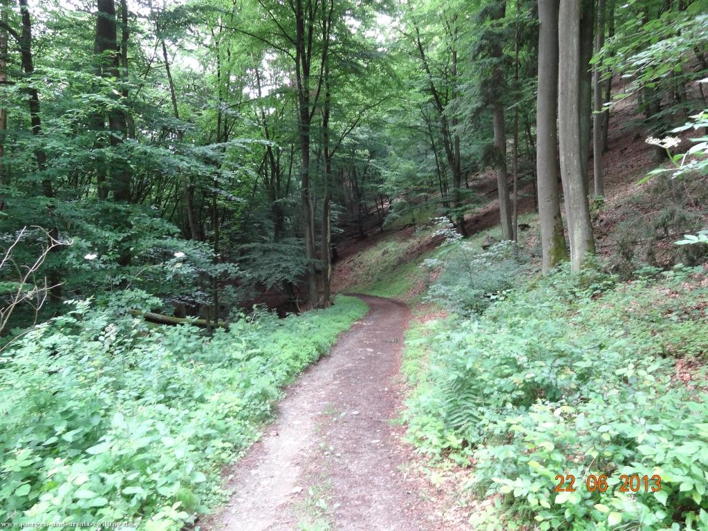 Philosophische Bildwanderung Traumschleife Baybachklamm