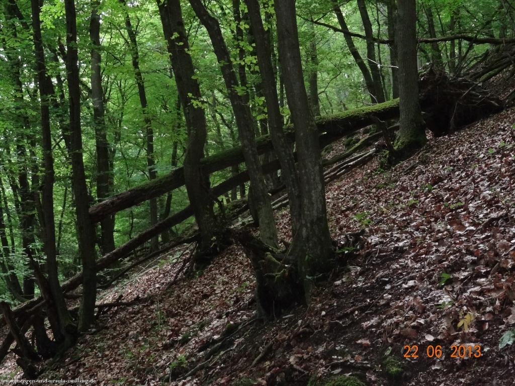 Philosophische Bildwanderung Traumschleife Baybachklamm