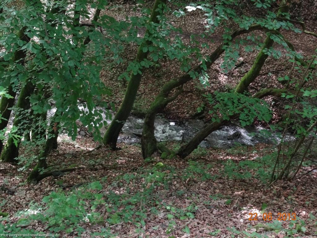 Philosophische Bildwanderung Traumschleife Baybachklamm