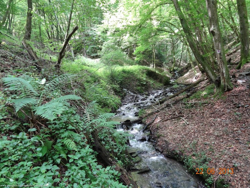 Philosophische Bildwanderung Traumschleife Baybachklamm