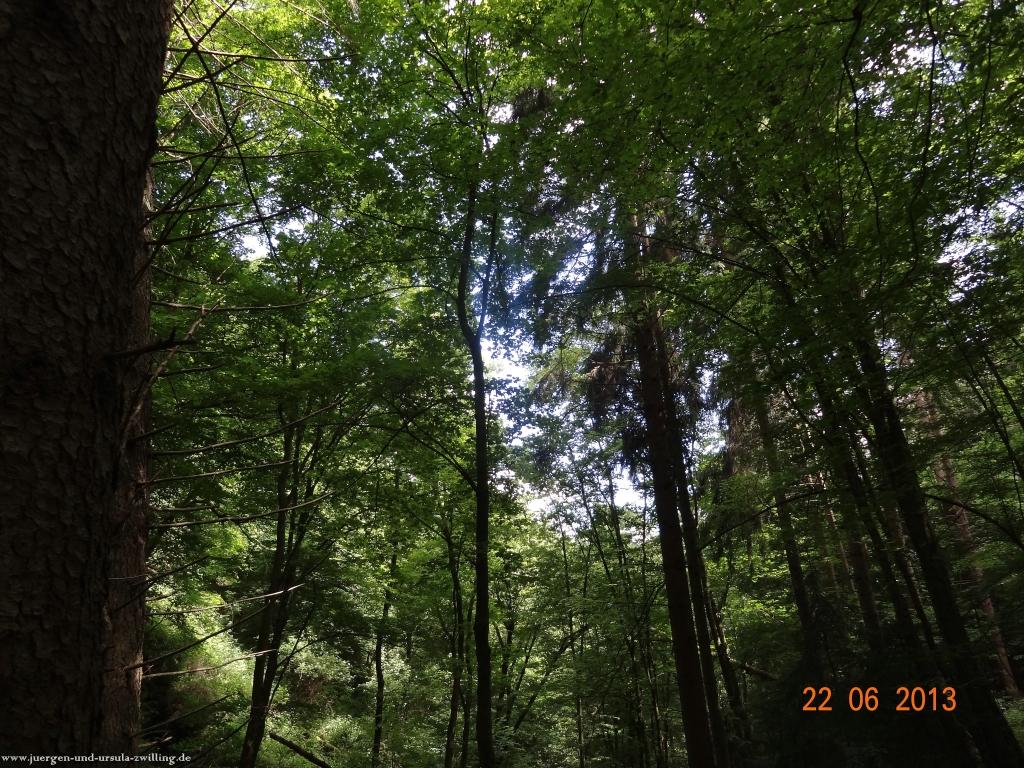 Philosophische Bildwanderung Traumschleife Baybachklamm