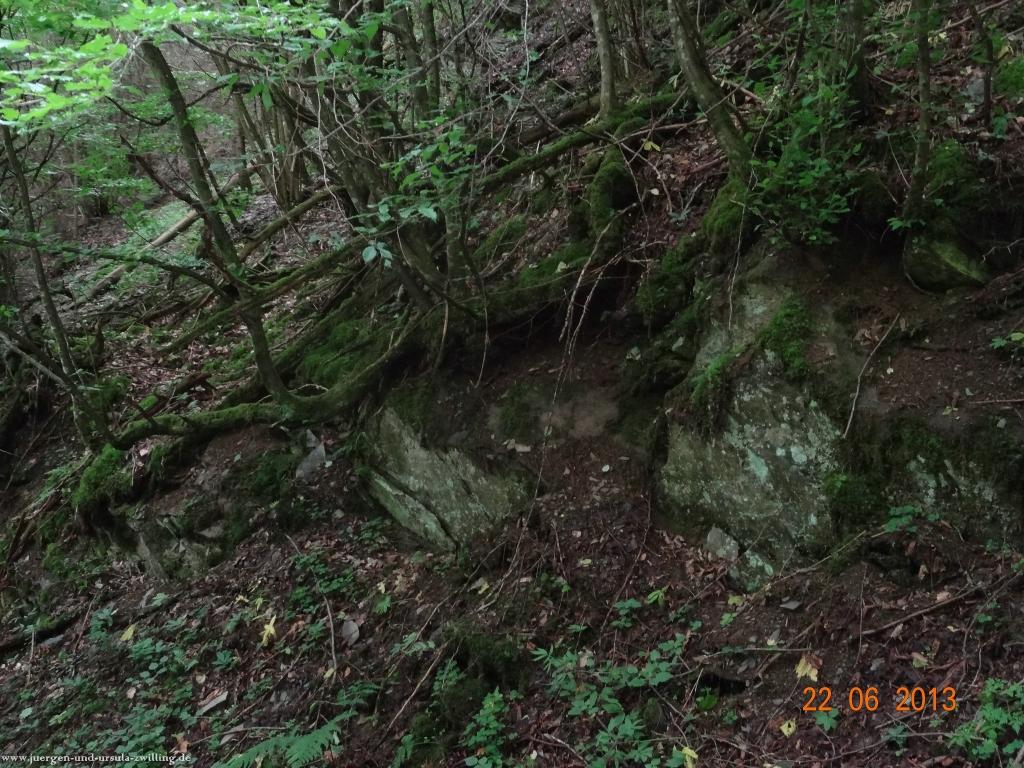 Philosophische Bildwanderung Traumschleife Baybachklamm