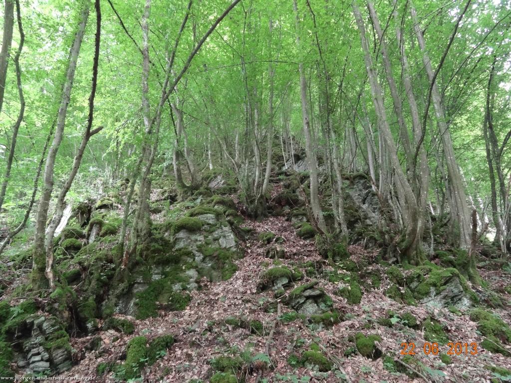 Philosophische Bildwanderung Traumschleife Baybachklamm