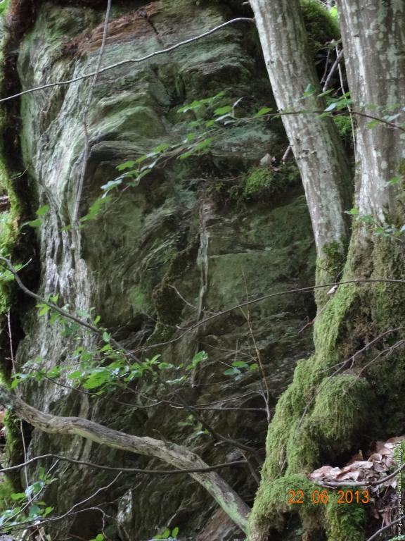 Philosophische Bildwanderung Traumschleife Baybachklamm