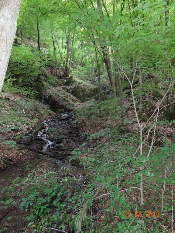 Philosophische Bildwanderung Traumschleife Baybachklamm