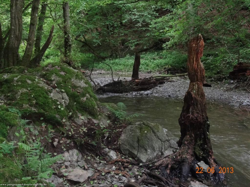 Philosophische Bildwanderung Traumschleife Baybachklamm